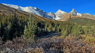Mount Athabasca Parc 3479 m - National de Banff Canada 2023